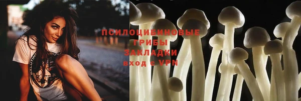 мдма Белокуриха