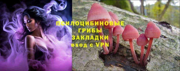 мдма Белокуриха