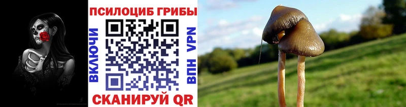 Псилоцибиновые грибы Magic Shrooms Купино